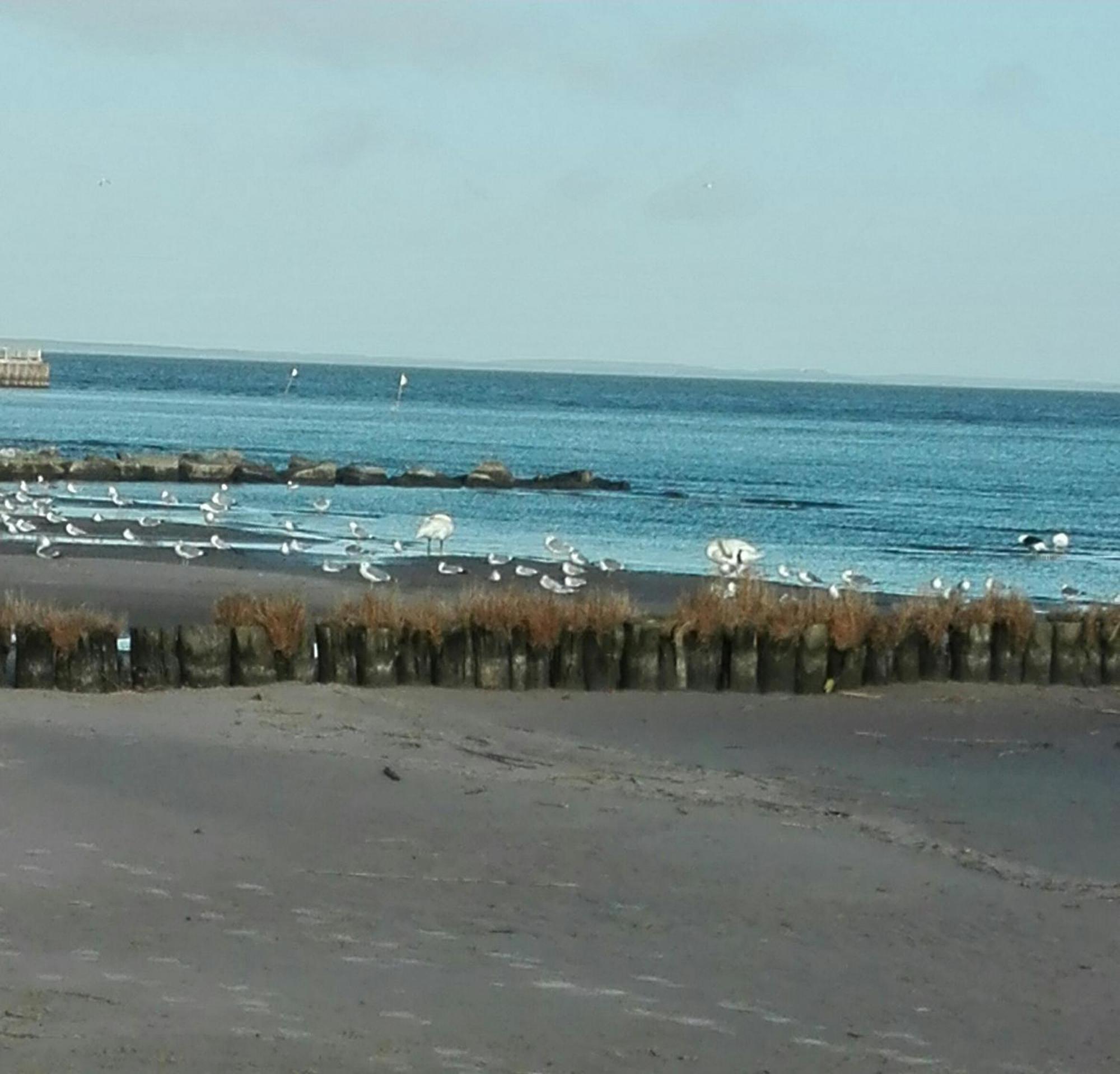 Fe'Wo, Strandnah, Ueckermuende3Ps,1Hund,Stettiner Haff, Luaran gambar